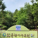 오산중증장애인센터 | 서울 근교 갈만한 곳 오산 물향기수목원 여름 정원