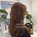 이유헤어