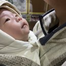 연호한의원 | 25.11.27~25.12.08 [옥토 예방접종, 결혼2주년 기념일, 옥토와 연호의 만남]