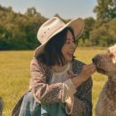 가을플라워스타일링 이미지