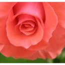 단성면 복지회관 이미지