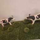 대우목장 1 이미지