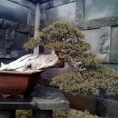 제주아트랜드 이미지