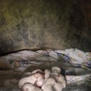 울산농장 이미지