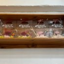 샬롬교회 | [명일동꽃집] 꽃선물, 어버이날 선물까지 다양한 꽃 가득, 샬롬플라워