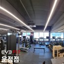 이브핏 이미지