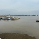 주식회사 진약품 이미지