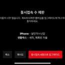 루시네일 네이버블로그