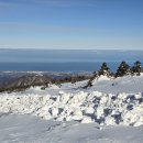 RE:2025.01.19.(일)겨울제주여행/한라산 어리목~윗세오름~서벽분기점~윗세오름~영실/자유여행일(현님) 이미지