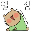 윈디시스템 이미지