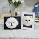 무지개세탁소 | 반려견&amp;반려묘 양모펠트 액자_원데이클래스_수업후기