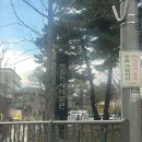 한국교통대학교 박물관 | 가양 강변3단지 재건축추진준비위원회 :: 김포공항 고도제한 적용방안 세미나 참여 후기