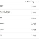 스페이스X 이미지