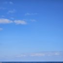 기성망양 이미지