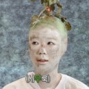 샌드박스 | 어쩌면 취준중독 (홈앤쇼핑 공채 + JABDA , 샌드박스 네트워크 경채 준비 후기)