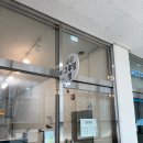 그루밍 멍 이미지