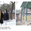 유현조경