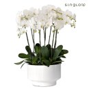 주식회사하얀 이미지