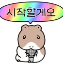 썬플랜트 네이버블로그