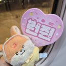 하나사 | 런쥔 창사 솔로 쇼케이스 후기