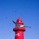 바닷바람