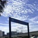 남동120 | 남동물빛놀이터 이용시간 입장요령 주차 주의사항 총정리