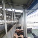 흑염소농장 이미지