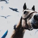 정재석농장 이미지