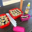 통도한의원 | 내돈내산 배곧 다이어트 한의원 7회차 -8.7kg 감량 (상추쌈파티,할머니집가는길)