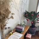 인화공원 화장실 2 | 가평리버뷰카페 코미호미 남이섬 근처 나들이 추천 주차 위치 디저트 솔직후기