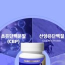 그로앤 - 서구 원도안로26번길 51 | 그로앤