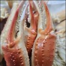 울진대게궁7호 이미지