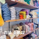 마벨미뇽 이미지