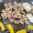 둘둘오리 이미지