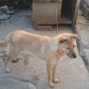 용미농장 이미지