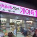 개이득몰