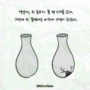 효성태권도 이미지