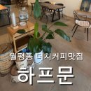 이마트24 대전신용문점 | 월평역 감성카페 추천, 더치커피 맛집 하프문에서 디저트까지 즐긴 후기