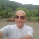 꽃봉우리 이미지