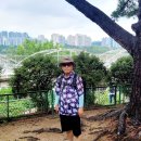 호수공원7로 이미지