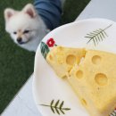 댕댕펫토리 네이버블로그