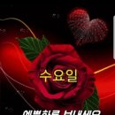 세라비 이미지