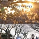 어서오시개 이미지