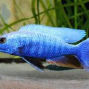 패밀리 아쿠아 이미지