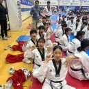 용인대학교 스타태권도장 이미지