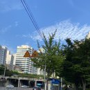 사르락잡화점 | [부산/진구] 서면 부암동 속눈썹펌 노글루펌 "더니즈래쉬"