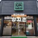 양지촌 티스토리