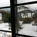 통나무힐스 이미지