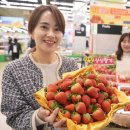 싱싱한아침