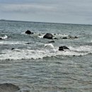 청림운동장 화장실 이미지